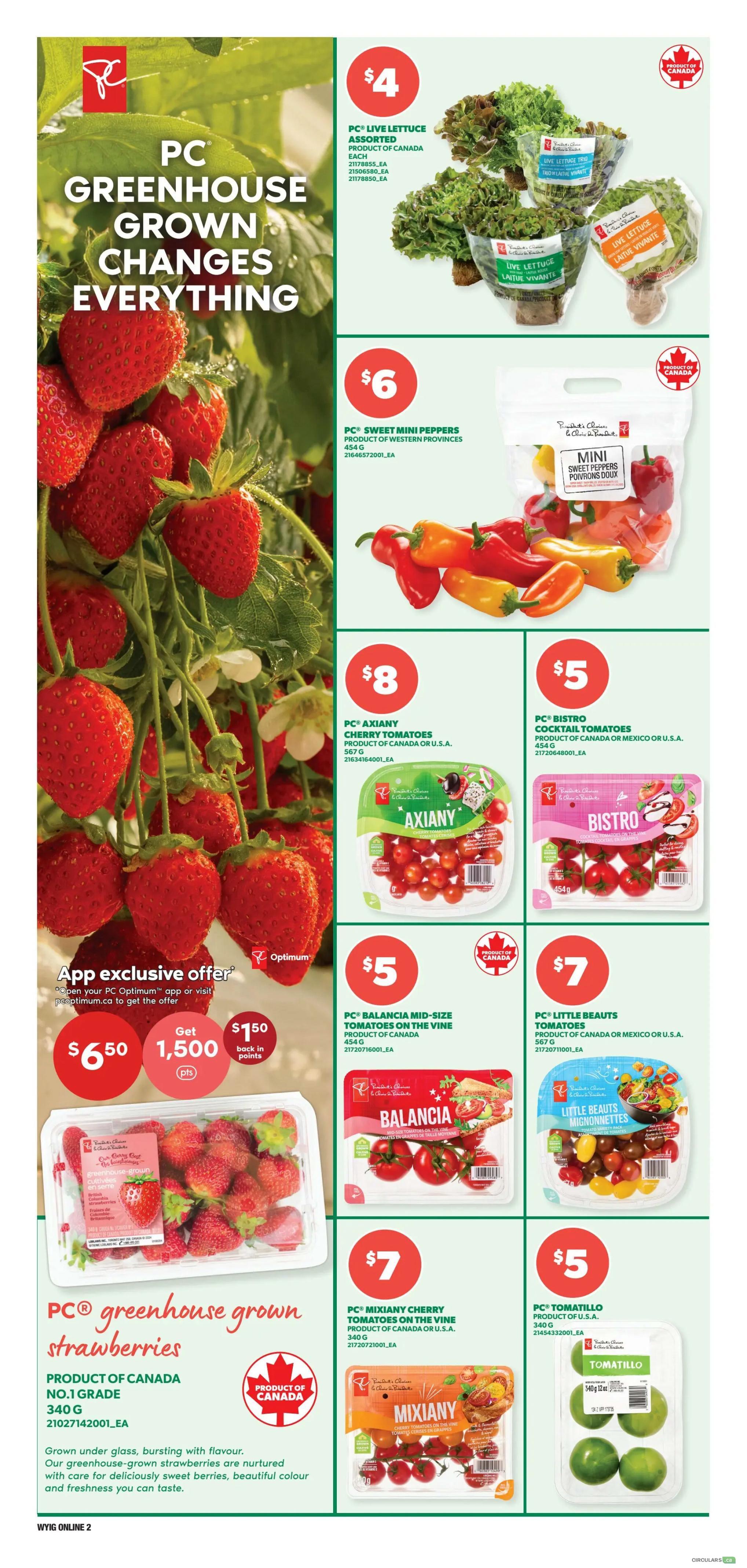 Independent flyer page 8 featuring PC greenhouse grown produce. Offers include PC Live Lettuce Assorted for $4, PC Sweet Mini Peppers for $6, PC Axiany Cherry Tomatoes for $8, and PC Bistro Cocktail Tomatoes for $5. Also featured are PC Balancia Mid-Size Tomatoes on the Vine for $5, PC Little Beauts Tomatoes for $7, and PC Mixiany Cherry Tomatoes on the Vine for $7. PC Tomatillo for $5 is also available. The page highlights PC greenhouse grown strawberries, product of Canada, No. 1 grade, 340g, described as grown under glass, bursting with flavour, sweet, beautiful colour and freshness. An app exclusive offer provides $6.50 for 1,500 PC Optimum points back.