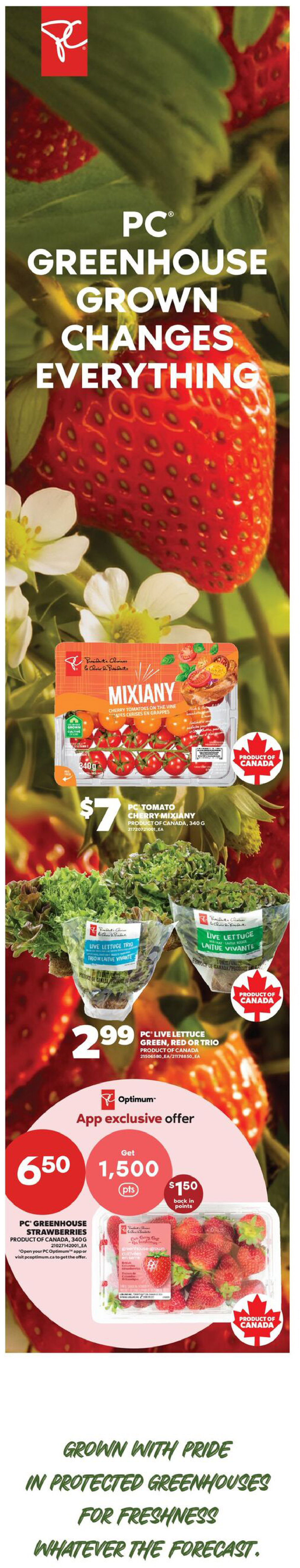 Real Canadian Superstore flyer page 6 features PC Greenhouse Grown produce. Highlighted items include PC Tomato Cherry Mixiany for $7, and PC Live Lettuce (Green, Red, or Trio) for $2.99. An app-exclusive offer provides 1,500 Optimum points (worth $1.50 back in points) when you spend $6.50 on PC Greenhouse Strawberries, product of Canada, 340g. The page also includes the slogan 'Grown with pride in protected greenhouses for freshness whatever the forecast.'