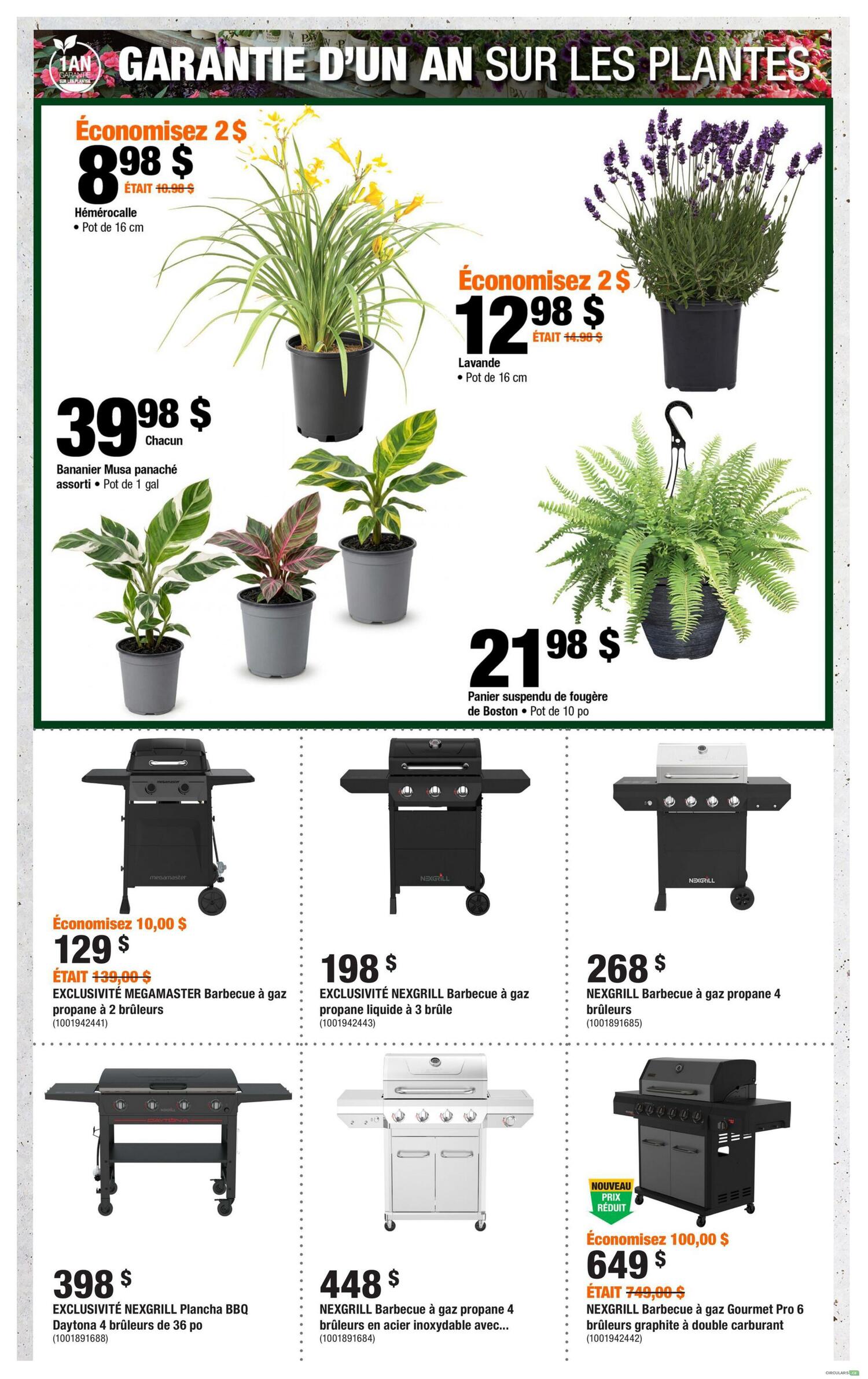 Home Depot Quebec flyer page 5 features a one-year guarantee on plants. Offers include a Hemerocallis plant for $8.98 (save $2), originally $10.98, in a 16 cm pot. A Musa plant is $39.98 each, in a 1-gallon pot. Lavender is $12.98 (save $2), originally $14.98, in a 16 cm pot. A Boston fern hanging basket is $21.98, in a 10-inch pot. Grills on sale include the EXCLUSIVITÉ MEGAMASTER Propane BBQ with 2 burners for $129 (save $10), originally $139. The EXCLUSIVITÉ NEXGRILL Propane BBQ with 3 burners is $198. The NEXGRILL Propane BBQ with 4 burners is $268. Also featured is the EXCLUSIVITÉ NEXGRILL Plancha BBQ Daytona with 4 burners and 36-inch grates for $398. The NEXGRILL Stainless Steel Propane BBQ with 4 burners is $448. Finally, the NEXGRILL BBQ Gourmet Pro 6 with 6 burners and dual fuel capability is on sale for $649 (save $100), originally $749.
