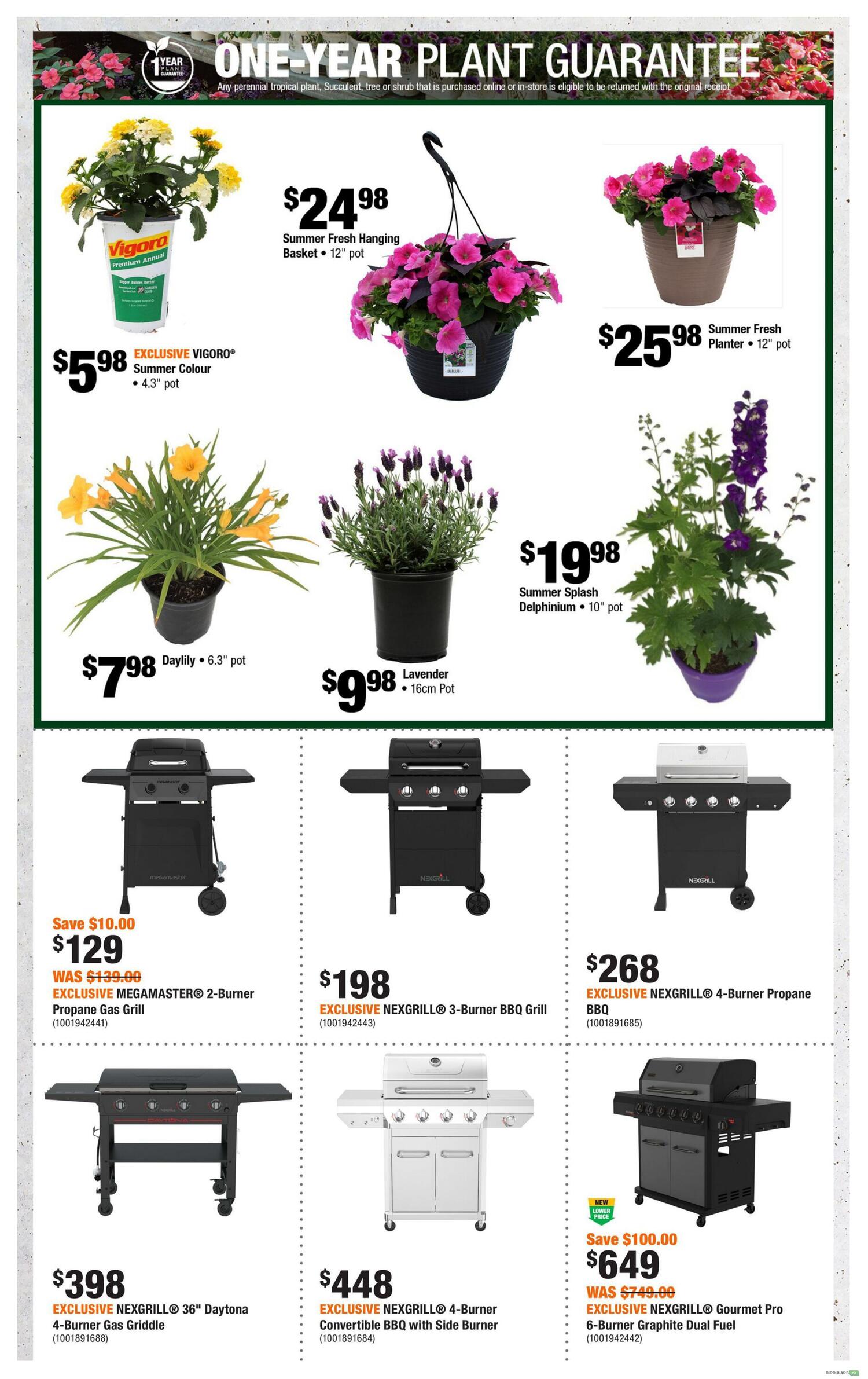 Home Depot flyer page 5 featuring a one-year plant guarantee. Offers include EXCLUSIVE VIGORO Premium Annual Summer Colour in a 4.3' pot for $5.98, Summer Fresh Hanging Baskets in 12' pots for $24.98, and Summer Fresh Planters in 12' pots for $25.98. Also available are Daylilies in 6.3' pots for $7.98 and Lavender in 16cm pots for $9.98. The page also showcases BBQs and Griddles: EXCLUSIVE MEGAMASTER 2-Burner Propane Gas Grill on sale for $129 (was $139.00), EXCLUSIVE NEXGRILL 3-Burner BBQ Grill for $198, EXCLUSIVE NEXGRILL 4-Burner Propane BBQ for $268, EXCLUSIVE NEXGRILL 36' Daytona 4-Burner Gas Griddle for $398, EXCLUSIVE NEXGRILL 4-Burner Convertible BBQ with Side Burner for $448, and the EXCLUSIVE NEXGRILL Gourmet Pro 6-Burner Graphite Dual Fuel BBQ for $649 (was $749.00), with a new lower price and a $100.00 saving.