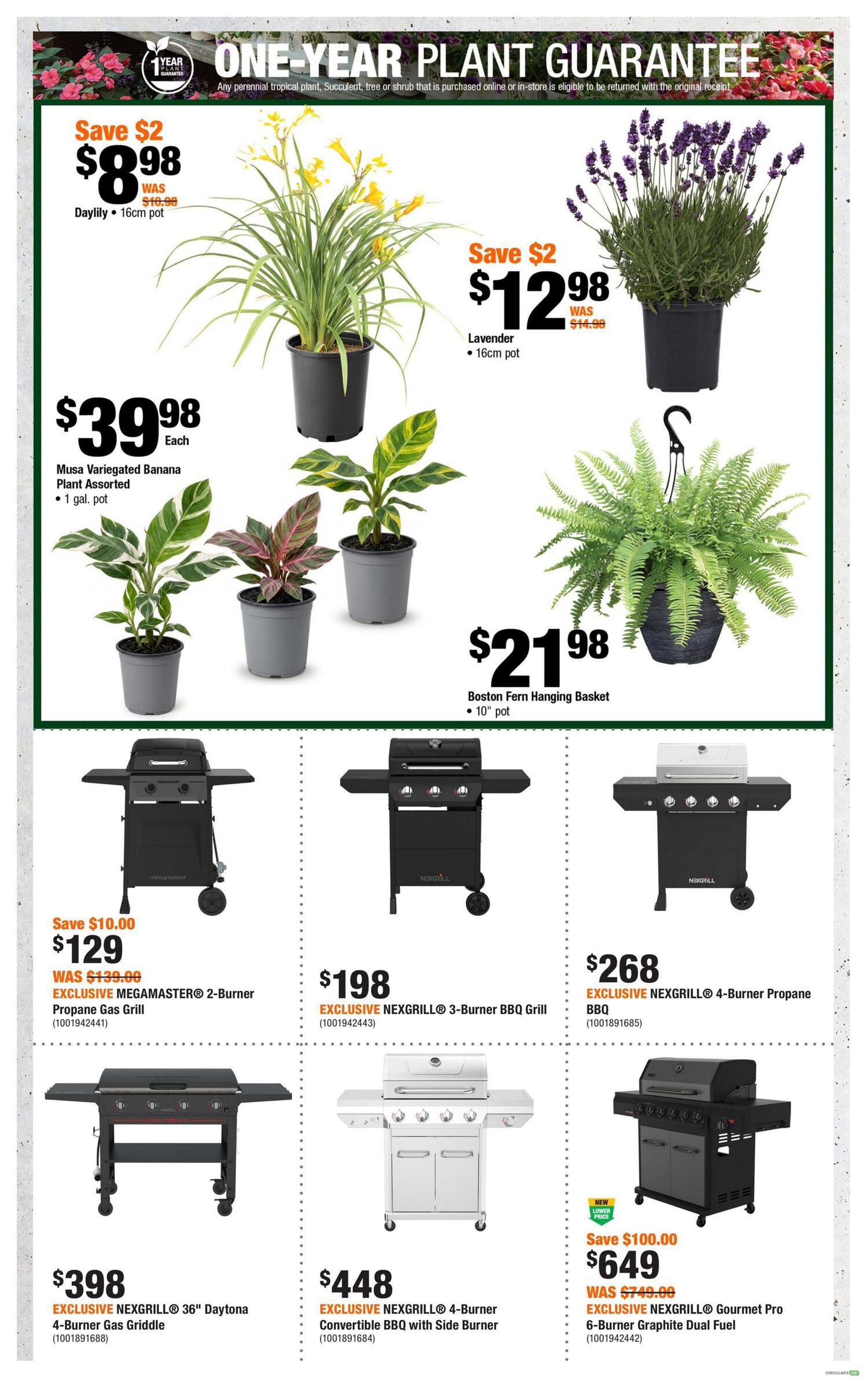 Home Depot Atlantic Canada flyer page 5 features a one-year plant guarantee. On sale are a Daylily for $8.98 (save $2), a Lavender plant for $12.98 (save $2), and assorted Musa Variegated Banana Plants in 1-gallon pots for $39.98 each. Also featured is a Boston Fern Hanging Basket for $21.98. Grills and BBQs include the EXCLUSIVE MEGAMASTER 2-Burner Propane Gas Grill for $129 (was $139.00), the EXCLUSIVE NEXGRILL 3-Burner BBQ Grill for $198, the EXCLUSIVE NEXGRILL 4-Burner Propane BBQ for $268, the EXCLUSIVE NEXGRILL 36' Daytona 4-Burner Gas Griddle for $398, the EXCLUSIVE NEXGRILL 4-Burner Convertible BBQ with Side Burner for $448, and the NEW LOWER PRICE EXCLUSIVE NEXGRILL Gourmet Pro 6-Burner Graphite Dual Fuel BBQ for $649 (was $749.00).