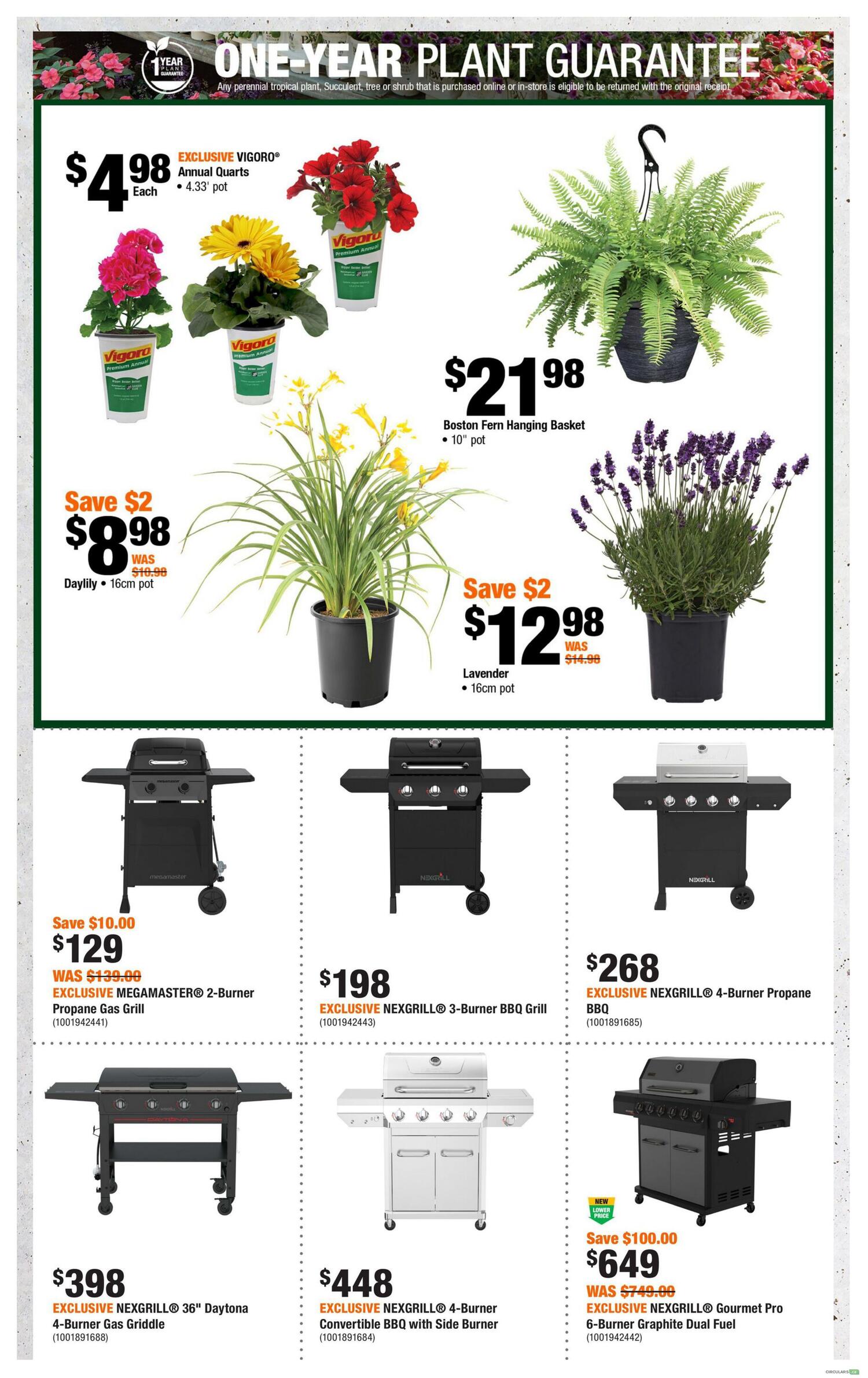Home Depot flyer page 5 featuring a one-year plant guarantee. Offers include EXCLUSIVE VIGORO Annual Quarts in 4.33' pots for $4.98 each, Daylily in a 16cm pot for $8.98 (was $10.98), saving $2, and Lavender in a 16cm pot for $12.98 (was $14.98), saving $2. Also available is a Boston Fern Hanging Basket in a 10' pot for $21.98. Grills on sale are the EXCLUSIVE MEGAMASTER 2-Burner Propane Gas Grill for $129 (was $139.00), saving $10.00; EXCLUSIVE NEXGRILL 3-Burner BBQ Grill for $198; EXCLUSIVE NEXGRILL 4-Burner Propane BBQ for $268; EXCLUSIVE NEXGRILL 36' Daytona 4-Burner Gas Griddle for $398; EXCLUSIVE NEXGRILL 4-Burner Convertible BBQ with Side Burner for $448; and the EXCLUSIVE NEXGRILL Gourmet Pro 6-Burner Graphite Dual Fuel BBQ for $649 (was $749.00), saving $100.00, marked with a new lower price.