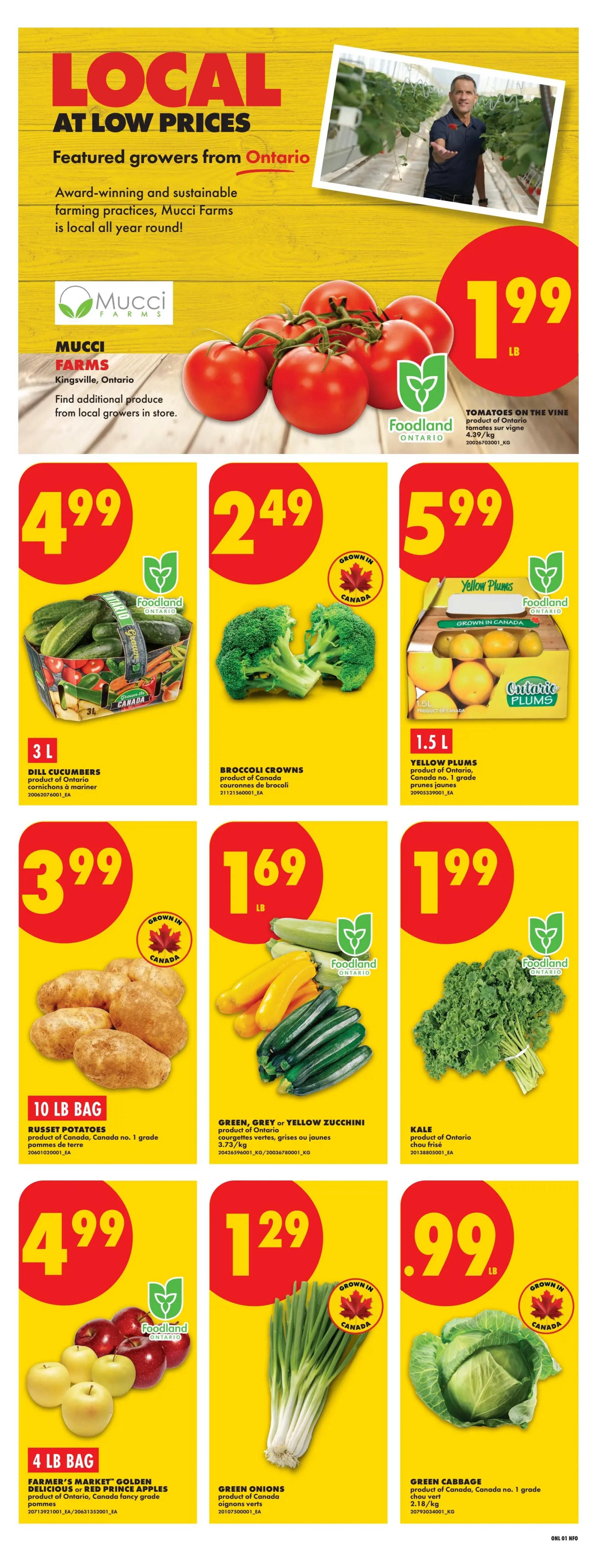No Frills Ontario weekly flyer specials, page 3. Featured local Ontario produce from Mucci Farms. Tomatoes on the vine are $1.99 per lb. 3 L Dill Cucumbers are $4.99. Broccoli Crowns are $2.49. 1.5 L Yellow Plums are $5.99. 10 lb bag of Russet Potatoes is $3.99. Green, Grey, or Yellow Zucchini are $1.69 per lb. Kale is $1.99 per lb. Farmer's Market Golden Delicious or Red Prince Apples, 4 lb bag, are $4.99. Green Onions are $1.29 per lb. Green Cabbage is $0.99 per lb.