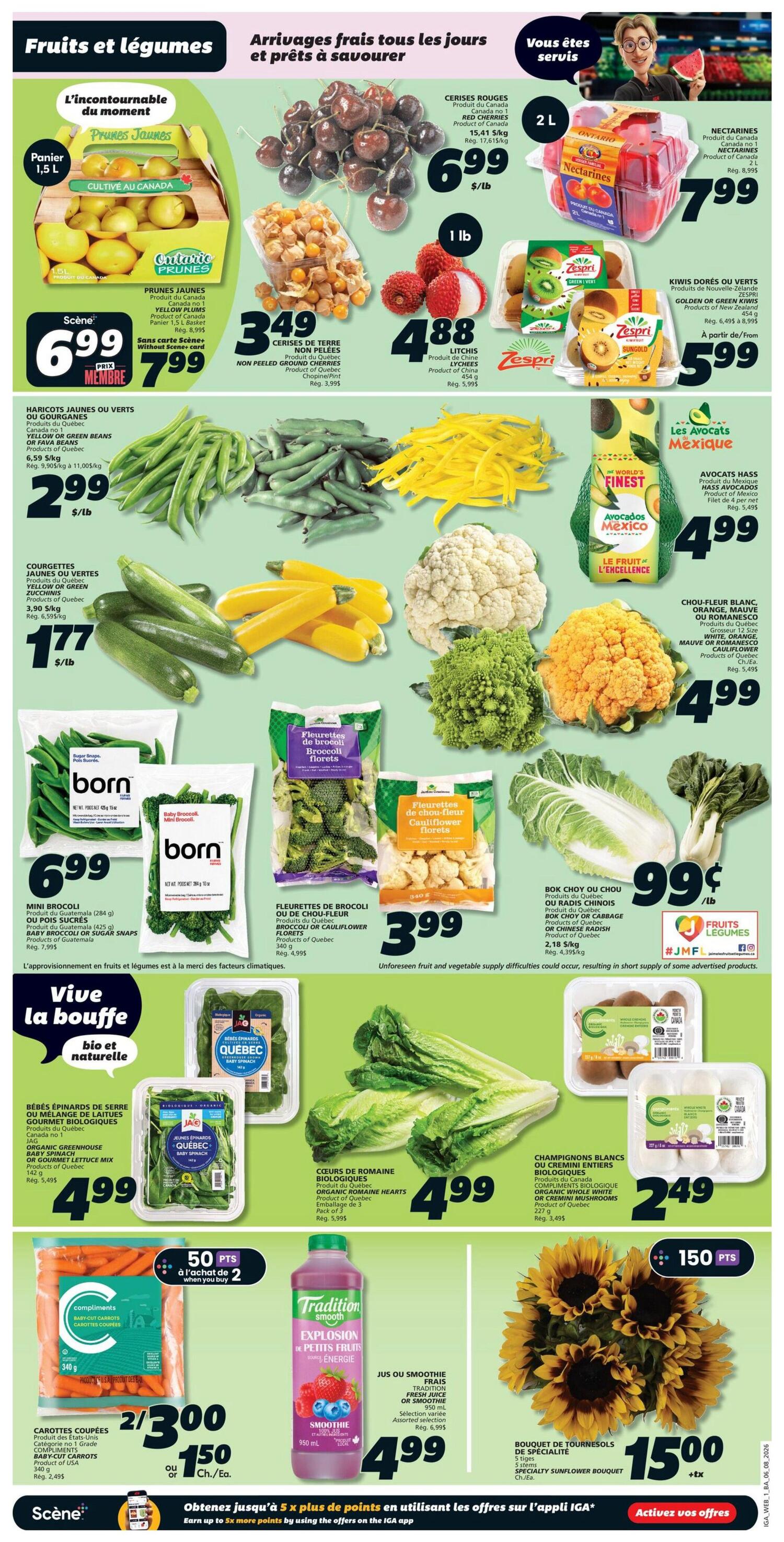 IGA weekly flyer specials page 3 featuring a wide selection of fresh fruits and vegetables. Highlights include Ontario yellow plums in a 1.5L basket for $6.99 (or $7.99 without Scene card), red cherries at $6.99/lb, non-peeled ground cherries for $3.49/lb, and nectarines for $7.99/2L. Also featured are yellow or green beans for $2.99/lb, golden or green kiwis for $5.99/pack, and Hass avocados from Mexico for $4.99 each. Other produce includes yellow zucchini for $1.77/lb, cauliflower and romanesco for $4.99 each, broccoli or cauliflower florets for $3.99/bag, and bok choy or Chinese radish for $0.99/lb. Fresh produce includes organic greenhouse baby spinach for $4.99/bag and organic romaine hearts for $4.99 per pack of 3. For convenience, mini broccoli or baby sugar snap peas are $6.99/bag. Enjoy a smoothie or fresh juice for $4.99/950mL and a specialty sunflower bouquet for $15.00. Earn 50 Scene+ points when you buy 2 of select items. Special offer: Earn up to 5x more points by using offers on the IGA app.