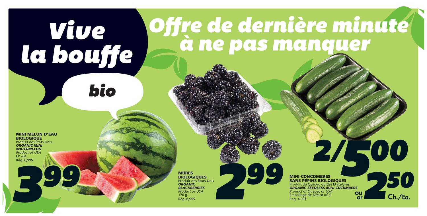 IGA flyer page 4 features organic produce with 'Vive la bouffe bio' (Live the organic food) theme. Organic mini watermelon from the USA is $3.99. Organic blackberries from the USA, 170g, are $2.99 (regularly $6.99). Organic seedless mini cucumbers, product of Quebec or USA, 6-pack, are 2 for $5.00 or $2.50 each (regularly $4.99).