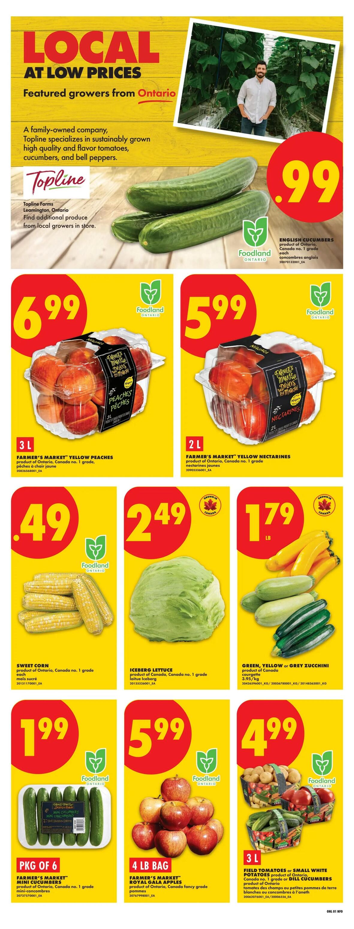 No Frills Ontario weekly flyer specials page 3. Featured local Ontario produce includes English cucumbers for $0.99 each. Farmer's Market Yellow Peaches, 3L, are $6.99. Farmer's Market Yellow Nectarines, 2L, are $5.99. Sweet Corn, Canada no. 1 grade, is $0.49 each. Iceberg Lettuce, Canada no. 1 grade, is $2.49. Green, Yellow or Grey Zucchini, 3.95/kg, is $1.79 per pound. Farmer's Market Mini Cucumbers, pkg of 6, are $1.99. Farmer's Market Royal Gala Apples, 4 lb bag, are $5.99. Field Tomatoes or Small White Potatoes, 3L, or Dill Cucumbers are $4.99.