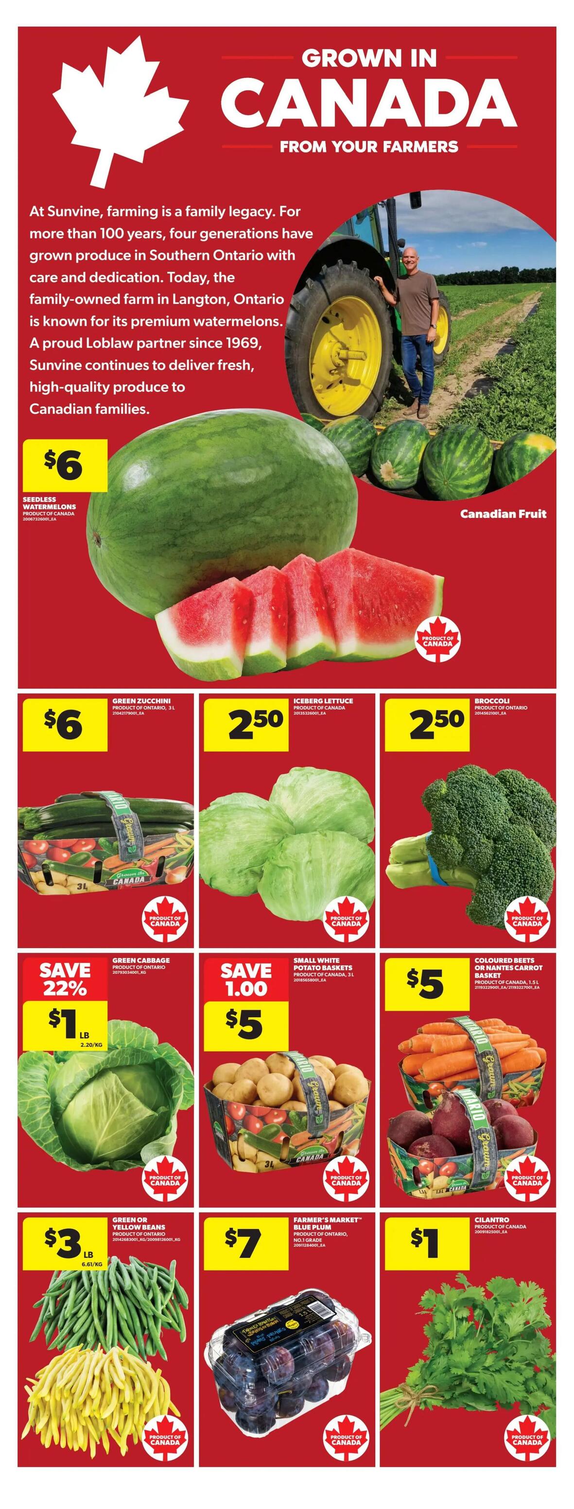 Real Canadian Superstore flyer page featuring 'Grown in Canada From Your Farmers' produce. Highlights include Seedless Watermelons for $6, Green Zucchini (3L basket) for $6, Iceberg Lettuce for $2.50, and Broccoli for $2.50. Also featured are Green Cabbage on sale for 22% off at $1/lb, Small White Potato Baskets (3L) for $5 (save $1.00), and Coloured Beets or Nantes Carrot Baskets (1.5L) for $5. Additional offers include Green or Yellow Beans for $3/lb and Farmer's Market Blue Plums for $7. Fresh Cilantro is available for $1. All produce is highlighted as a Product of Canada.