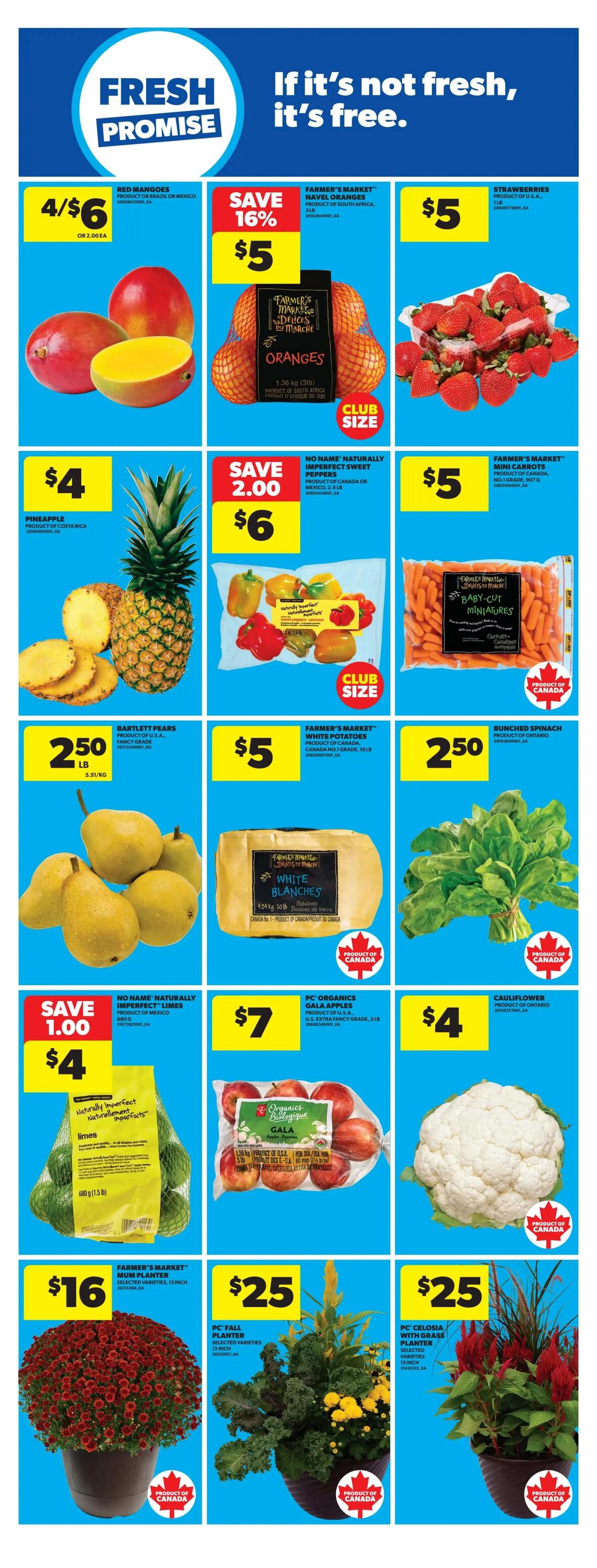 Real Canadian Superstore flyer page 19 featuring fresh produce and plants. Offers include 4 for $6 Red Mangoes, Farmer's Market Navel Oranges for $5 (save 16%), and Strawberries for $5. Get a Pineapple for $4, and No Name Naturally Imperfect Sweet Peppers for $6 (save $2.00). Farmer's Market Baby-Cut Mini Carrots are $5. Bartlett Pears are $2.50 per lb. Farmer's Market White Potatoes are $5 for a 10 lb bag. Bunched Spinach is $2.50. No Name Naturally Imperfect Limes are $4. PC Organics Gala Apples are $7 for a 3 lb bag. Cauliflower is $4. Also featured are Farmer's Market Mum Planters for $16, PC Fall Planters for $25, and PC Celosia with Grass Planters for $25.