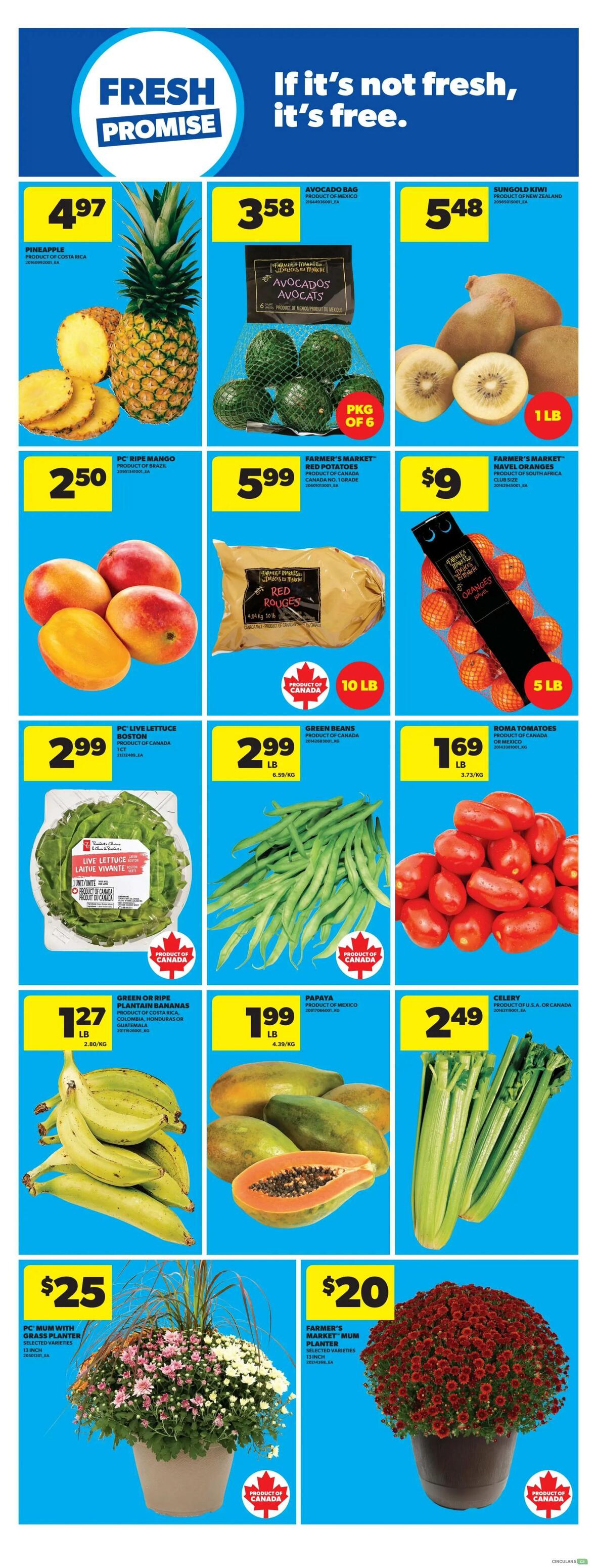 Real Canadian Superstore weekly flyer specials page 20 features fresh produce and plants. Highlighted items include a pineapple for $4.97, a bag of 6 avocados from Mexico for $3.58, and Sungold kiwi from New Zealand for $5.48 per lb. Also available are PC ripe mangoes from Brazil for $2.50, Farmer's Market red potatoes from Canada for $5.99 for a 10 lb bag, and Farmer's Market navel oranges from South Africa for $9. PC Live lettuce from Canada is $2.99 per unit, green beans from Canada are $2.99 per lb, and Roma tomatoes from Mexico are $1.69 per lb. Green or ripe plantain bananas from Costa Rica, Colombia, or Guatemala are $1.27 per lb, and papayas from Mexico are $1.99 per lb. Celery from the USA or Canada is $2.49 per lb. In the plant section, find a PC Mum with grass planter in selected varieties for $25 and a Farmer's Market Mum planter in selected varieties for $20, both 13-inch planters and 13 inch respectively.