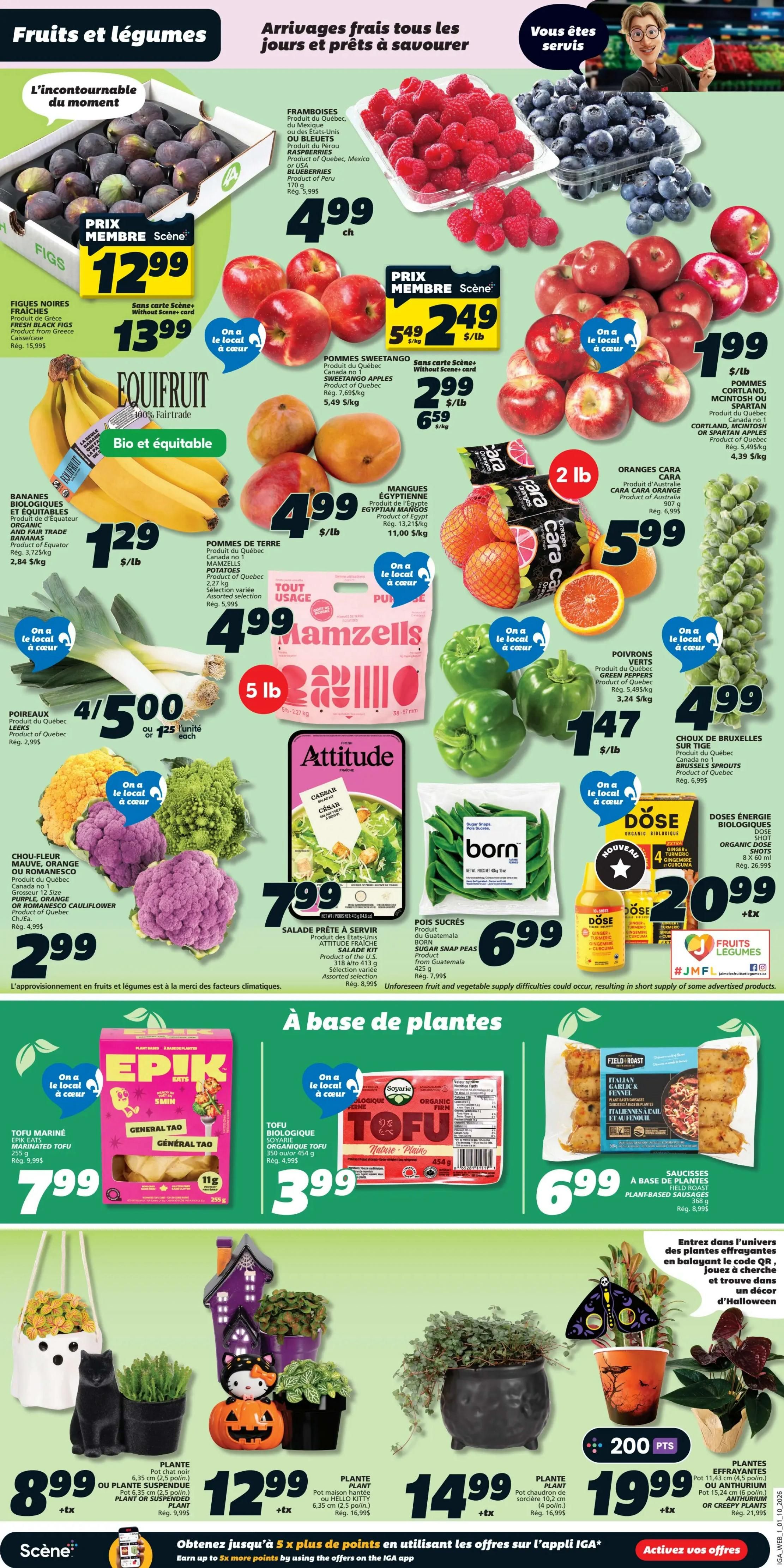 IGA Weekly Flyer Specials, Page 3. Featuring fresh fruits and vegetables including Black Mission Figs for $12.99, Raspberries for $4.99, Blueberries for $4.99, Equifruit Fairtrade Bananas for $1.29/lb, Sweetango Apples for $2.49/lb, Egyptian Mangoes for $4.99/lb, and Potatoes for $4.99. Also available are green bell peppers for $1.47/lb, Brussels sprouts for $4.99, and Attitude Salad Kits for $7.99. In the plant section, find Epik Eats Marinated Tofu for $7.99, Organic Firm Tofu for $3.99, and Field Roast Plant-Based Sausages for $6.99. Decorative plants and pots are also featured, including a ghost-themed hanging pot for $8.99, a Halloween-themed pot for $12.99, and Anthurium or Creepy Plants for $19.99. Earn up to 5x more points by using offers on the IGA app.