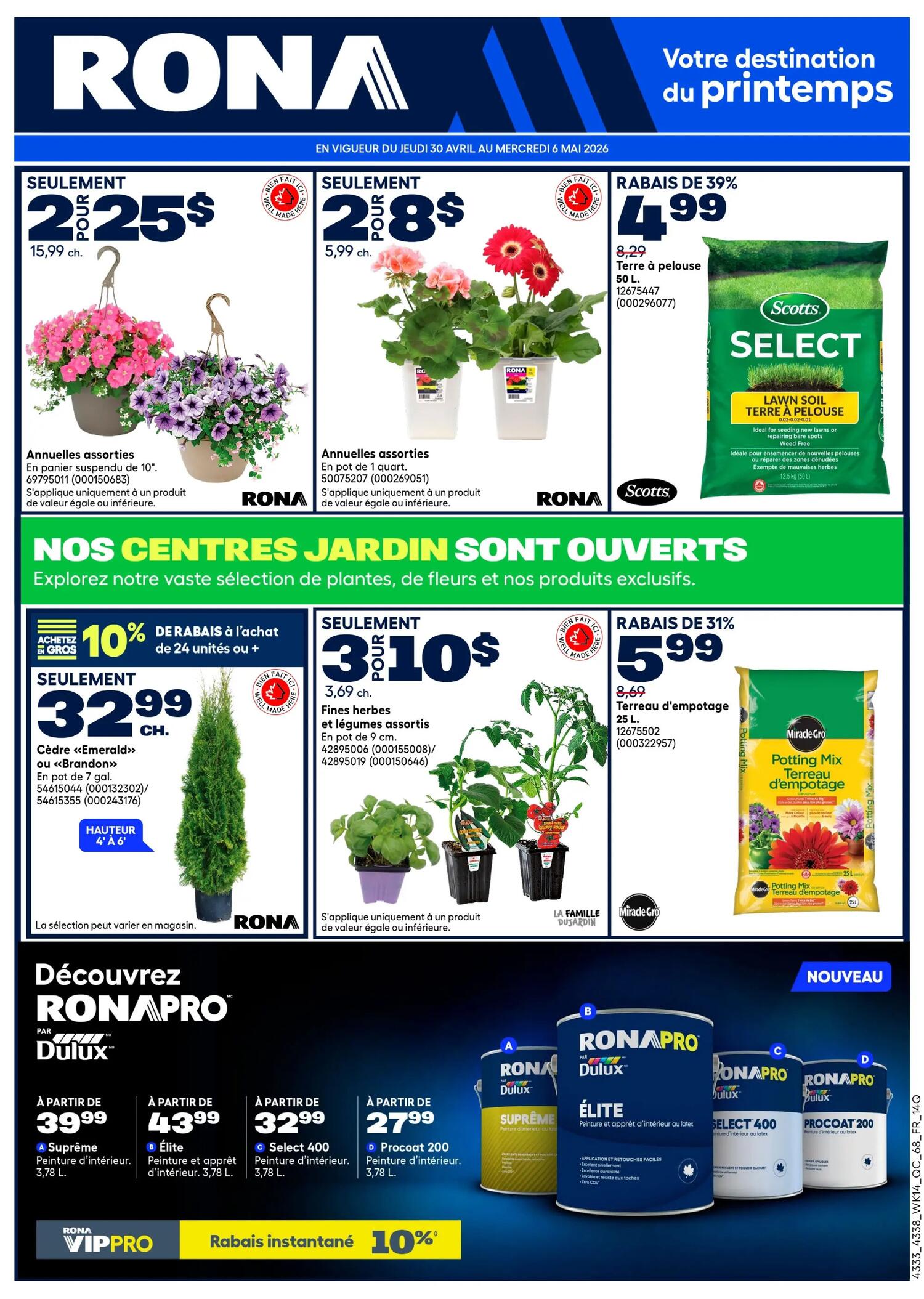 Rona Flyer